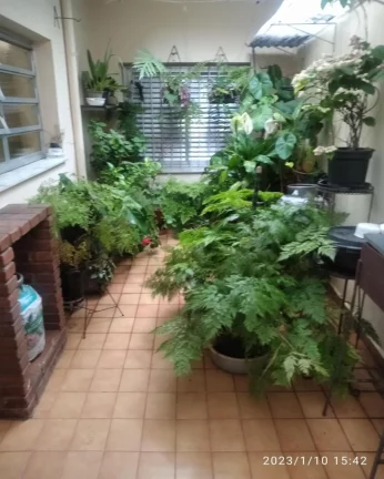 Imagem Linda casa Bonfiglioli