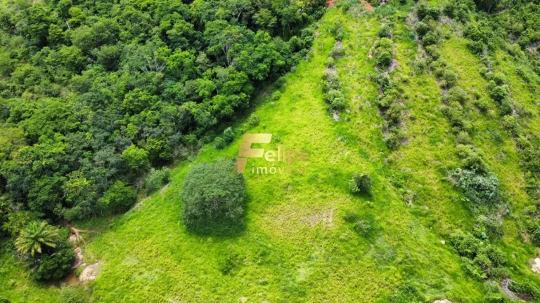 Imagem LINDA FAZENDA A 70KM DE COLATINA!