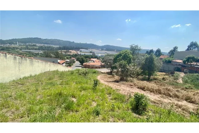 Imagem IRYROM 708 Lote 690591011-41