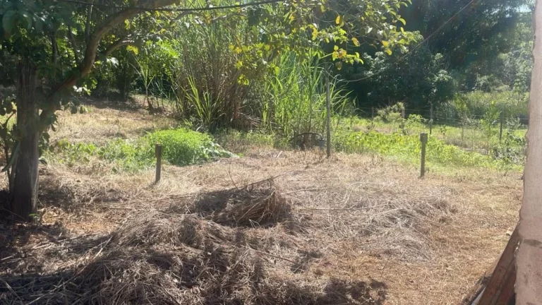 Imagem Chacara a Venda - Bairro Rio Verde