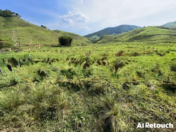 Imagem Vendo Fazenda Araruama município de Basilio com 350 cabeças de Gados