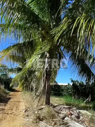 Imagem Área Beira de Rio à venda com 34ha, casa, 2 tanques criação de peixes, Petrolina