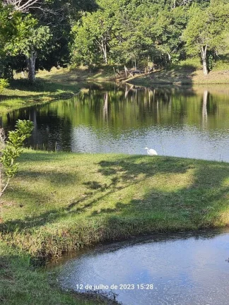 Imagem RESERVAS DO ESCONDIDO - MATA ATLÂNTICA