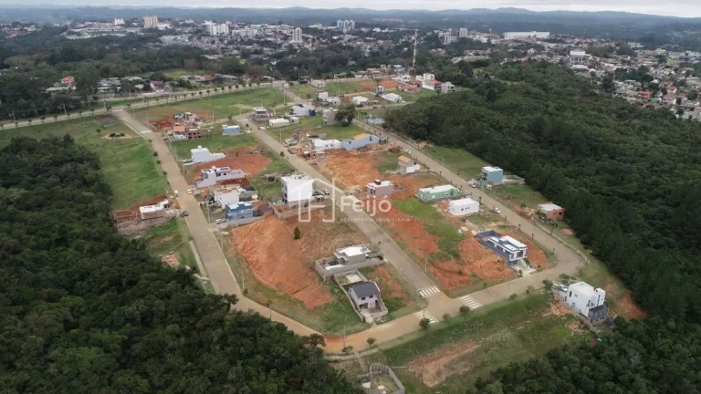 Imagem Lotes/Terrenos em Viamão próx. ao Centro