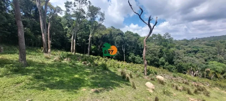 Imagem Sítio para Venda em São Roque, Marmeleiro, 2 dormitórios, 1 suíte, 2 banheiros