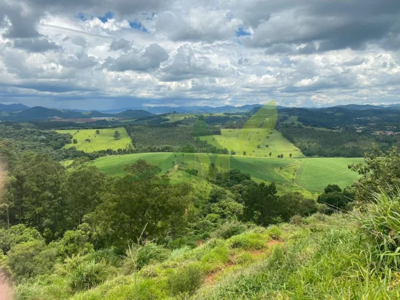 Imagem Fazenda de 75 Alqueires às Margens da Rodovia Fernão Dias Bragança Paulista