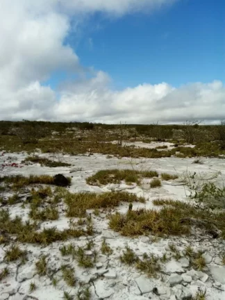 Imagem Fazenda à Venda, 200.000 m² em Zona Rural - Mucugê