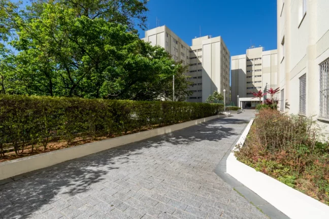 Imagem Apartamento à venda em São Paulo, Jardim das Vertentes, com 3 quartos, 64m2