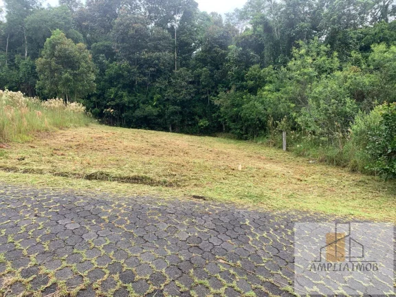 Imagem SÂO JORGE - SIDERÓPOLIS
