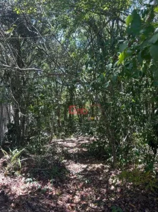 Imagem Terreno à venda, 450 m² por R$ 220.000,00 - Caravelas - Armação dos Búzios/RJ