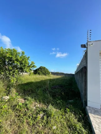 Imagem Terreno no Mosqueiro - Espaço amplo de 980m² à venda | Posição Norte