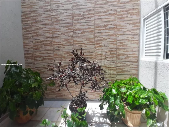 Imagem Casa para Venda em Limeira, Jardim Planalto, 2 dormitórios, 1 suíte, 2 banheiros, 5 vagas