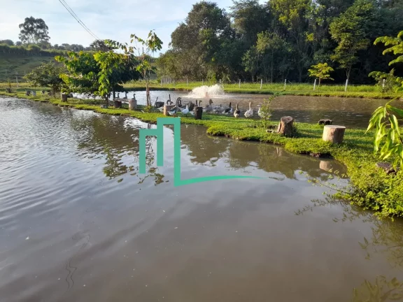 Imagem SÍTIO Á VENDA EXCELENTE OPORTUNIDADE EM ITAMOGI - Varias represas - Piscina - Chalé - Palco para shows