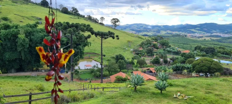 Imagem Lindo sítio em Pedra Bela