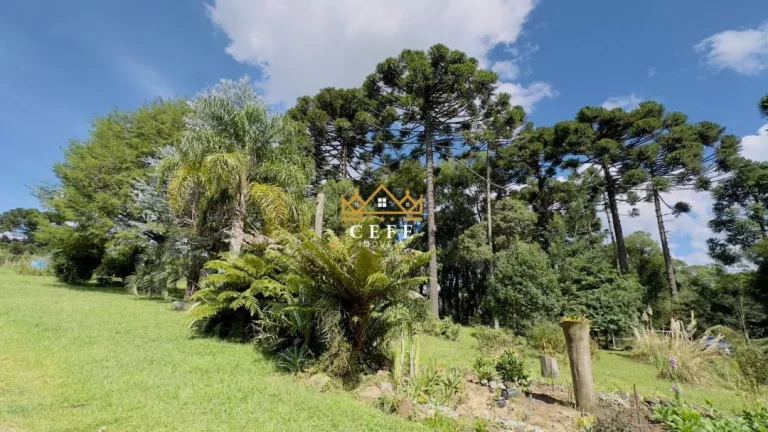 Imagem Chácara - Sítio com 3 Dormitorio(s) localizado(a) no bairro Jardim das Fontes em Canela / RIO GRANDE DO SUL Ref.:1561