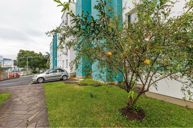 Imagem MSJDSB 227 Apto 612521003-270 - Apartamento à venda no bairro Morro Santana - Porto Alegre/RS