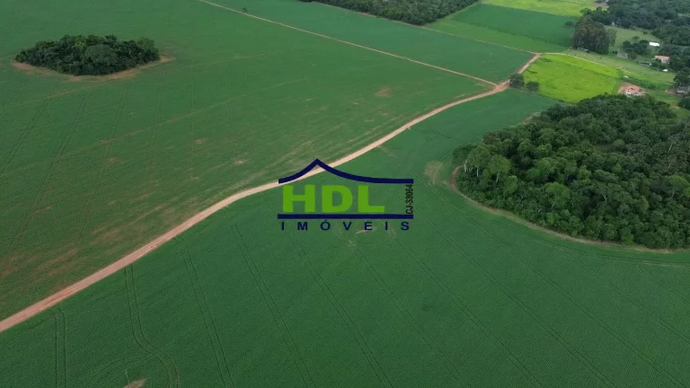 Imagem Fazenda 70 Alqs Dupla Aptidão plantada em Soja em Bela Vista GO