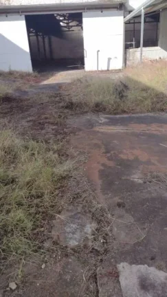 Imagem Alugo Galpão em Santo André, Vila Vilma