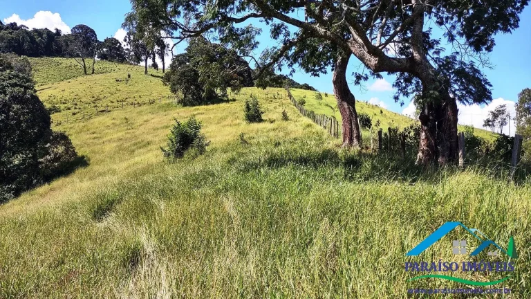 Imagem Paraíso Particular: 14,32 ha, com Vista Panorâmica e Natureza Preservada!