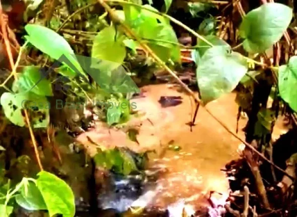 Imagem Chácara com 2 Quartos à Venda, 36.000 m² em Sabaúna - Mogi Das Cruzes