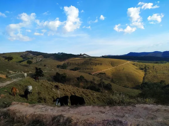 Imagem Fazenda à venda no bairro Catioca - Cunha/SP