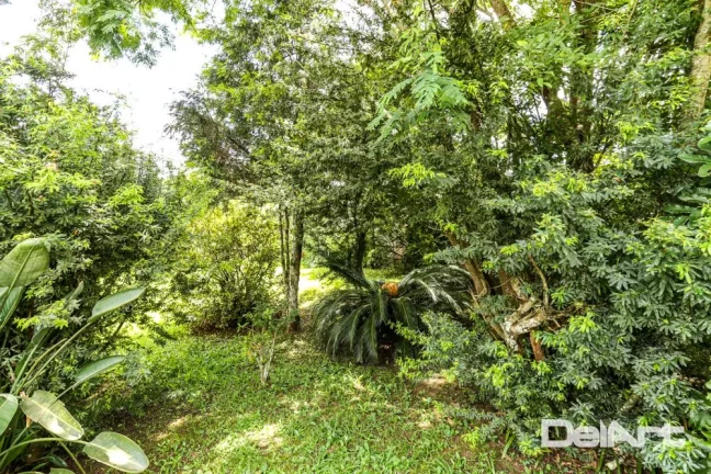 Imagem TERRENO COM POTENCIAL PARA CASAS ALTO PADRÃO - AO LADO DO PARQUE SÃO LOURENÇO