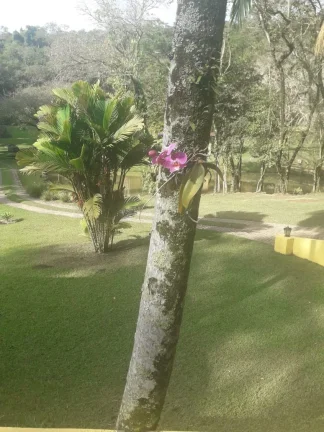 Imagem CHACARA, VENDA E COMPRA,SANTA CLARA, JUNDIAÍ