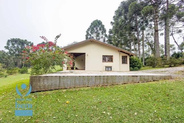 Imagem Belíssima Chácara com 3 dormitórios à venda, 6000 m² por R$ 1.400.000 - Salgadinho - Campo Largo/PR