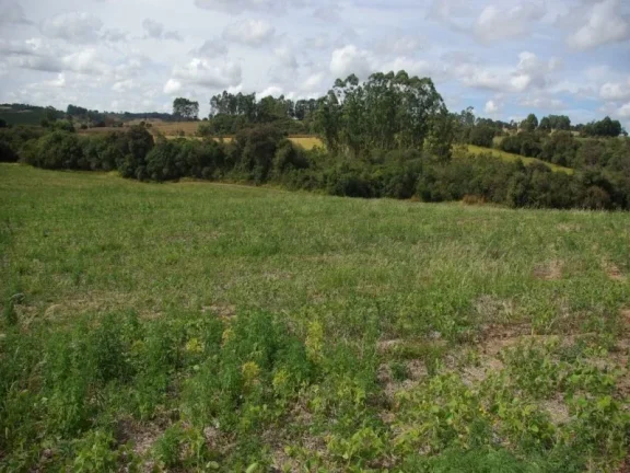 Imagem SÍTIO À VENDA 43,56 HECTARES R$ 1.900.000 - ZONA RURAL - JACUI/MG