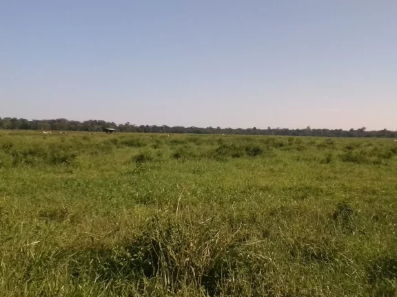 Imagem FAZENDA RURAL em LINHARES - ES, ÁREA RURAL DE LINHARES