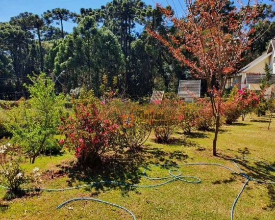 Imagem Casa com 3 dormitórios à venda, 235 m² por R$ 1.250.000,00 - Alto Do Capivari - Campos do Jordão/SP