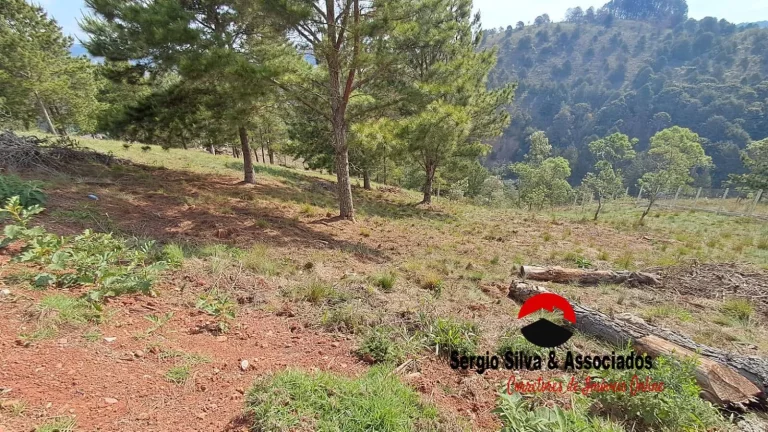 Imagem Terreno a Venda na Região do Atalaia em Campos do Jordão -SP.