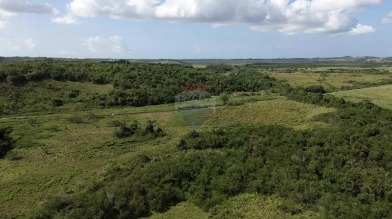 Imagem Fazenda à Venda, 1.449.875 m² em Zona Rural - Anchieta