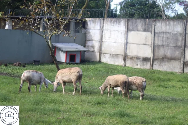 Imagem Chácara em Mongaguá Litoral Sul / Agenor de campos / Na estrada da cachoeira altura do numero 1700.