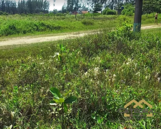 Imagem Terreno Balneario Araça Ilha comprida