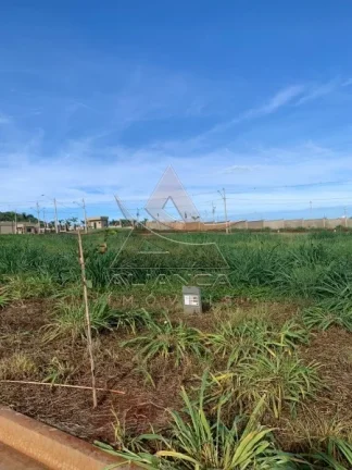 Imagem Terreno Condomínio - Ribeirão Preto - Recreio Anhanguera