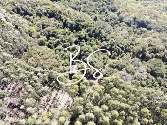 Imagem AREA RURAL em RIO DA ILHA - RS, Rio da Ilha