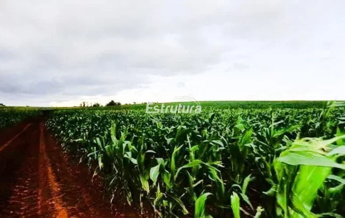 Imagem Ótima área rural com 145 hectares