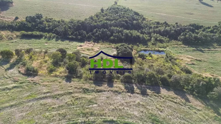 Imagem Fazenda Top 243 Ha alta produtividade em Piracanjuba GO