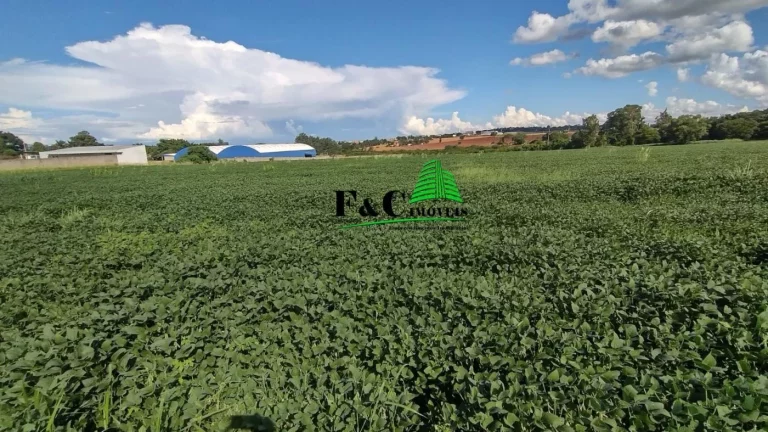 Imagem Área para Venda em Limeira, Jardim Nova Limeira