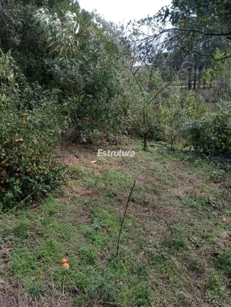 Imagem Oportunidade de casa em Itaara