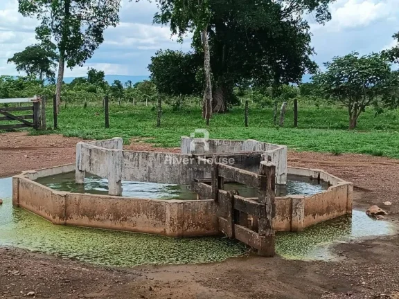 Imagem Fazenda a venda com 890 hectares Dupla aptidão na Região de Nossa senhora do Livramento Livramento MT