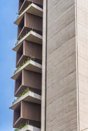 Imagem Tumiaru 120 Ibirapuera