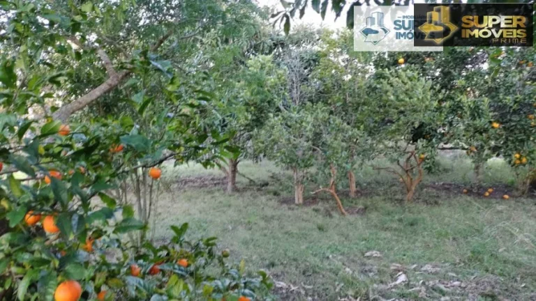 Imagem Sítio para Venda em Centro Piratini-RS - 2143