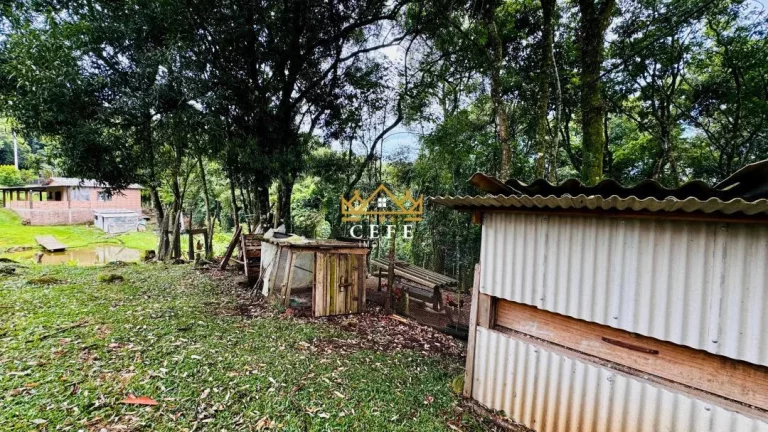 Imagem Chácara - Sítio com 2 Dormitorio(s) localizado(a) no bairro Padre Eterno Ilges em Santa Maria do Herval / RIO GRANDE DO SUL Ref.:1607