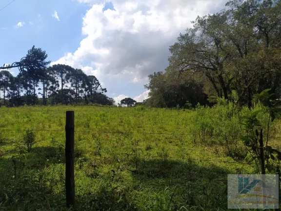 Imagem Terreno para Venda em São José dos Pinhais, Contenda, 1 dormitório
