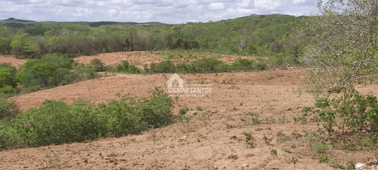 Imagem Lote/Terreno no bairro zona rural, em Sítio do Quinto