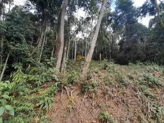 Imagem Terreno para Venda em Teresópolis / RJ no bairro Posse