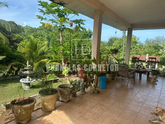 Imagem SITIO EM OURO PRETO OLINDA, 1,9 HA, 3ST, AREA DE LAZER, 1 ST, 1KITNET