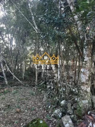 Imagem Chácara - Sítio com 2 Dormitorio(s) localizado(a) no bairro Zona Rural em São Francisco de Paula / RIO GRANDE DO SUL Ref.:1345
